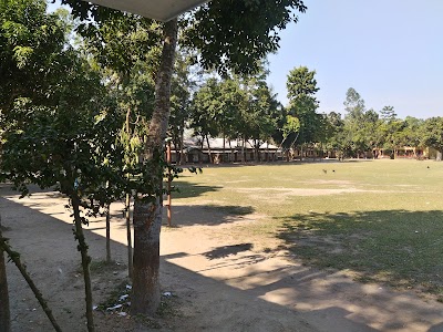 school