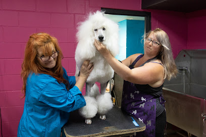 Nora Veterinary Hospital