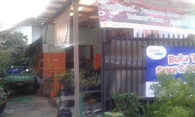 Photos of Daun Exotica Nursery
