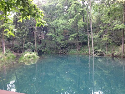 Photos of Hangzhou Zoo