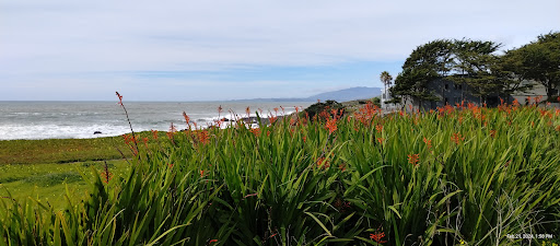 Moonstruck lookout State Park - Thumbnail