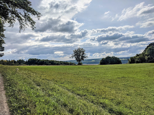 Graburg - Visual