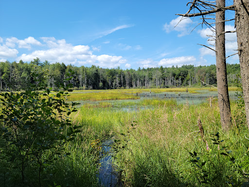Willie Wildlife Marsh - Thumbnail