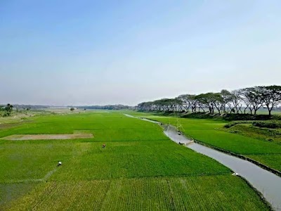 Photos of Marjal - Raipura Bridge