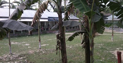 school