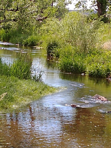 Coal Creek Trail - Lafayette, CO - Thumbnail