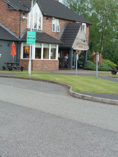 Mickle Head Green Beefeater - Thumbnail