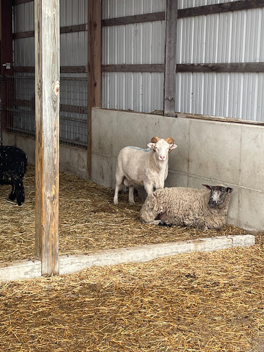 HalalCo Meats Farm - Thumbnail