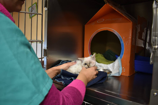 Clinica Veterinaria LAS CIGÜEÑAS