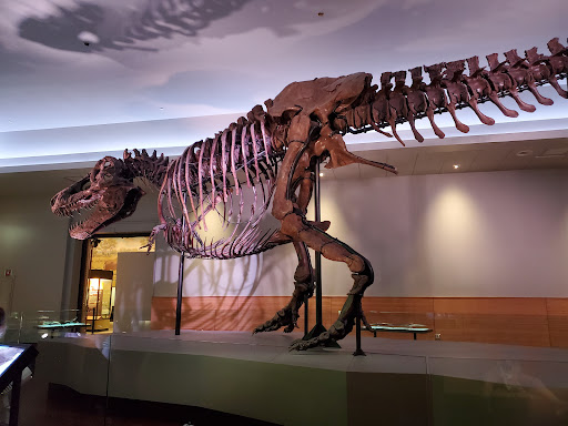 Museum Campus - Visual