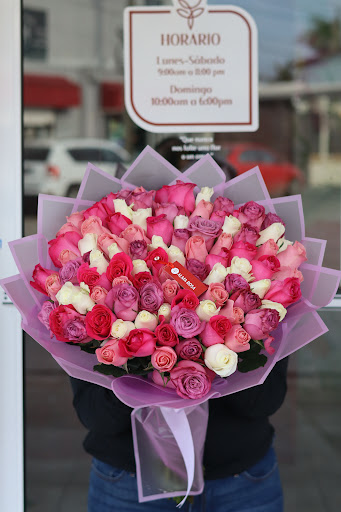 Florería Alma Rosa - Thumbnail