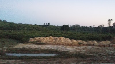 Photos of Agro Arena Associates Ltd