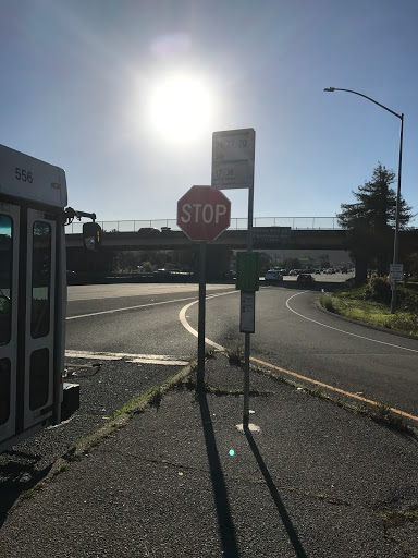 Paradise Dr Bus Pad