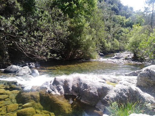 Sendero Charco del Canalón Logo