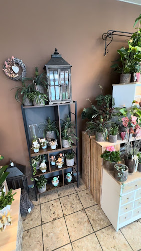 Rezensionen über Blumenstation-Giesch in Winterthur - Blumengeschäft