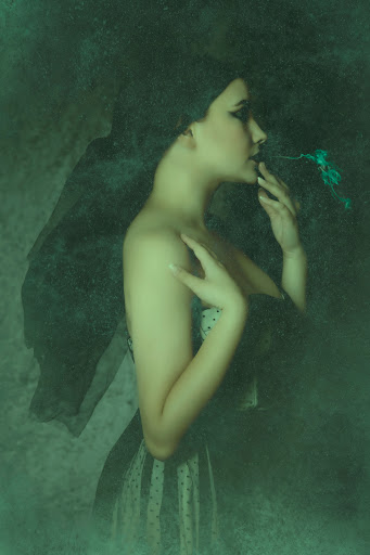 Tracy Whiteside Art Photography - Thumbnail