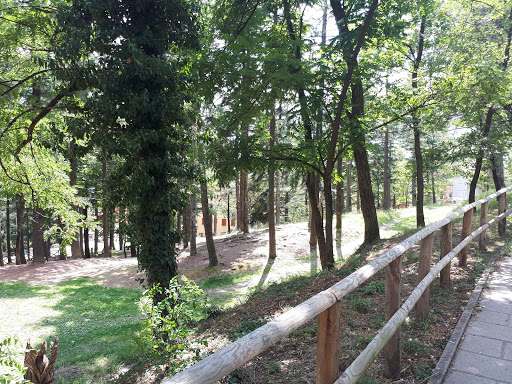 Monkey Park Fanano - Visual