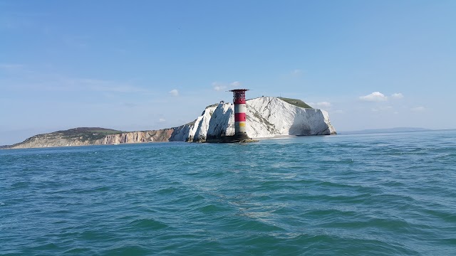 The Needles Old Battery & New Battery