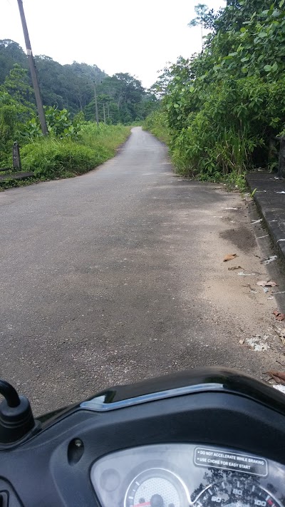 Photos of In Dola