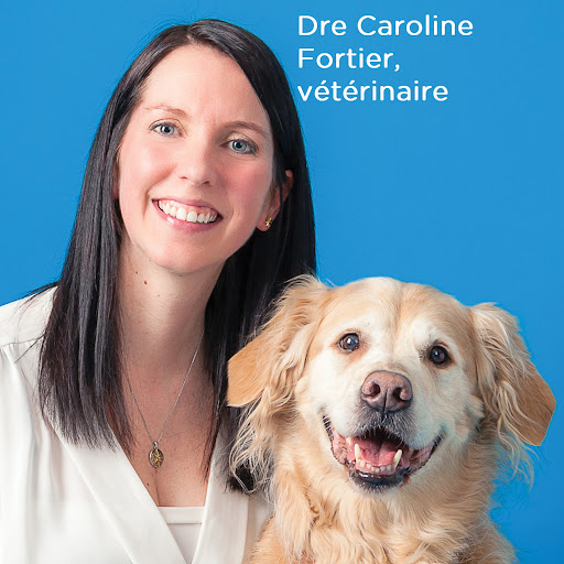 Globalvet - Clinique Vétérinaire Beauce-Appalaches