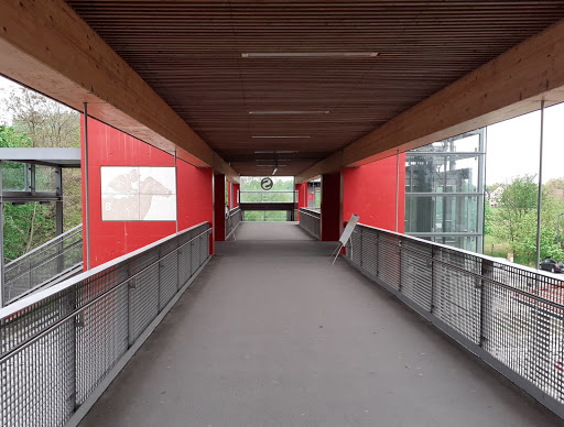 Hoppegarten (Mark) - Visual