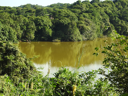 Laguna de Chalchoapan - Thumbnail