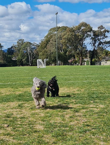 Terrara Park - Thumbnail