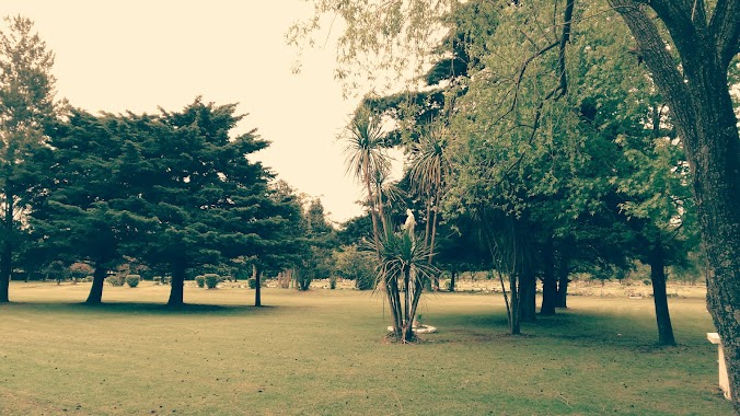 Cementerio Parque, Author: Fabian Sotelo