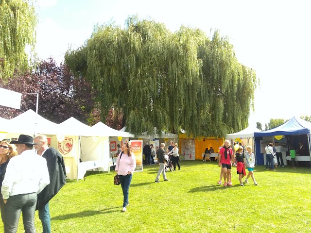 Macki Music Festival