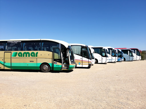 Vendobus. Grupo Sant Jordi bus S.L - Thumbnail