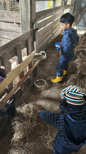 Wassermühle Westerwohld - Thumbnail