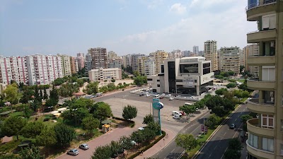 Photos of Dream world