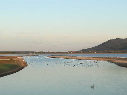 Vogelschutzgebiet - Visual