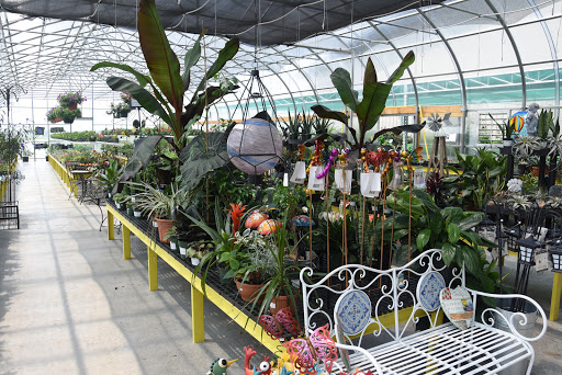 Country View Store - Thumbnail