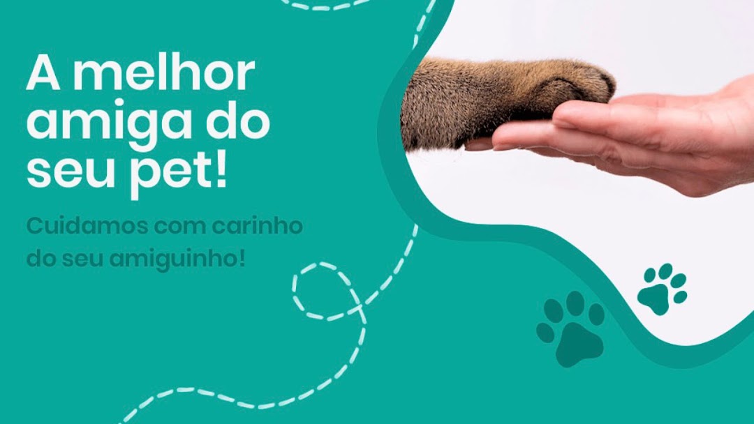 Onde Tem Banho e Tosa Próximo a Mim Marechal Rondon - Banho e Tosa