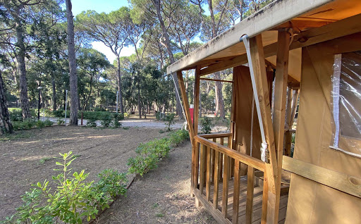 Camping Belmare
