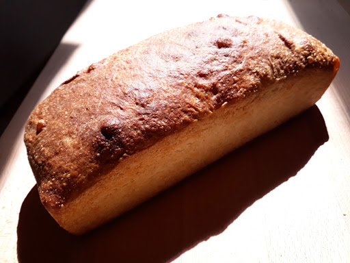 Forn - Visual