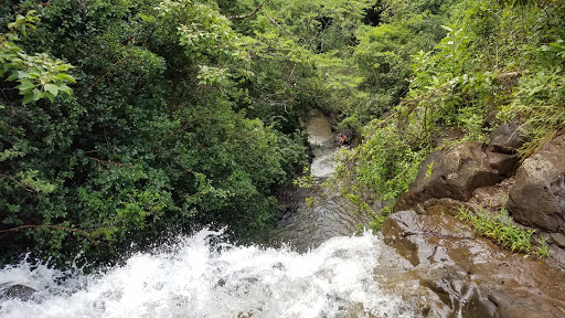 ʻEwa Forest Reserve - Thumbnail