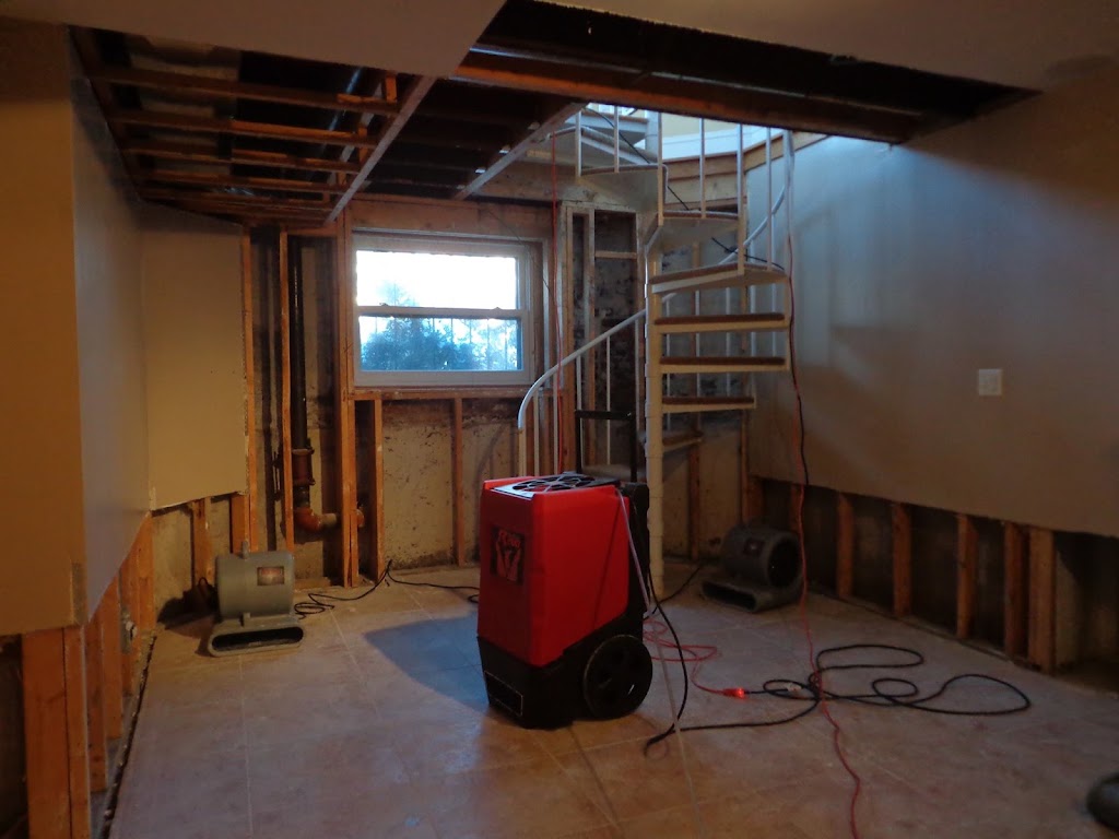 USA Restoration photo
