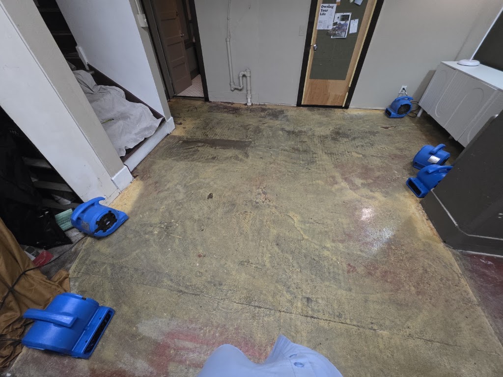 Fire and Flood Restoration Company photo