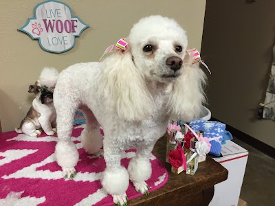 A-1 Grooming/Pine Bluff Pets