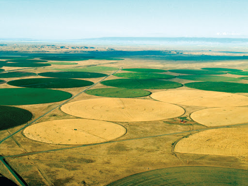Navajo Agricultural Products Industry, NAPI