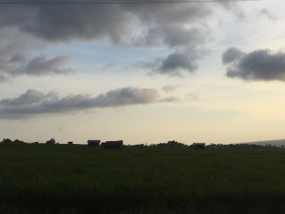 bank