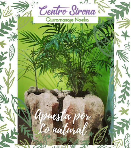 Centro Sirona - Visual
