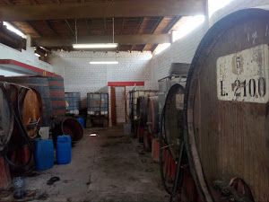 Bodega San Leonardo 3