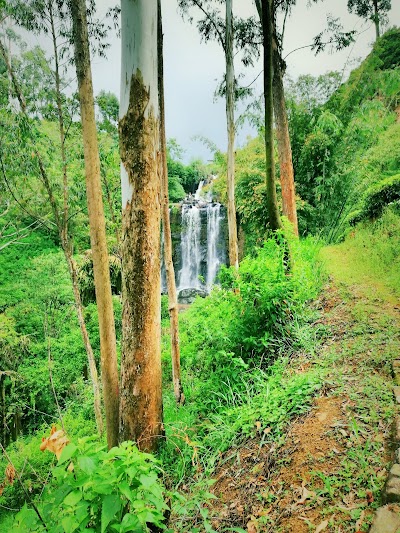 Photos of Mount Vernon Waterfall