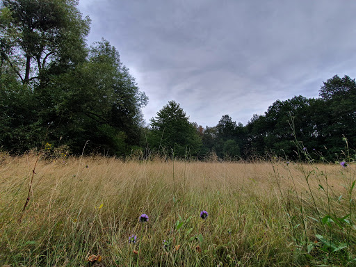 Naturschutzstation Herrenhaide - Thumbnail