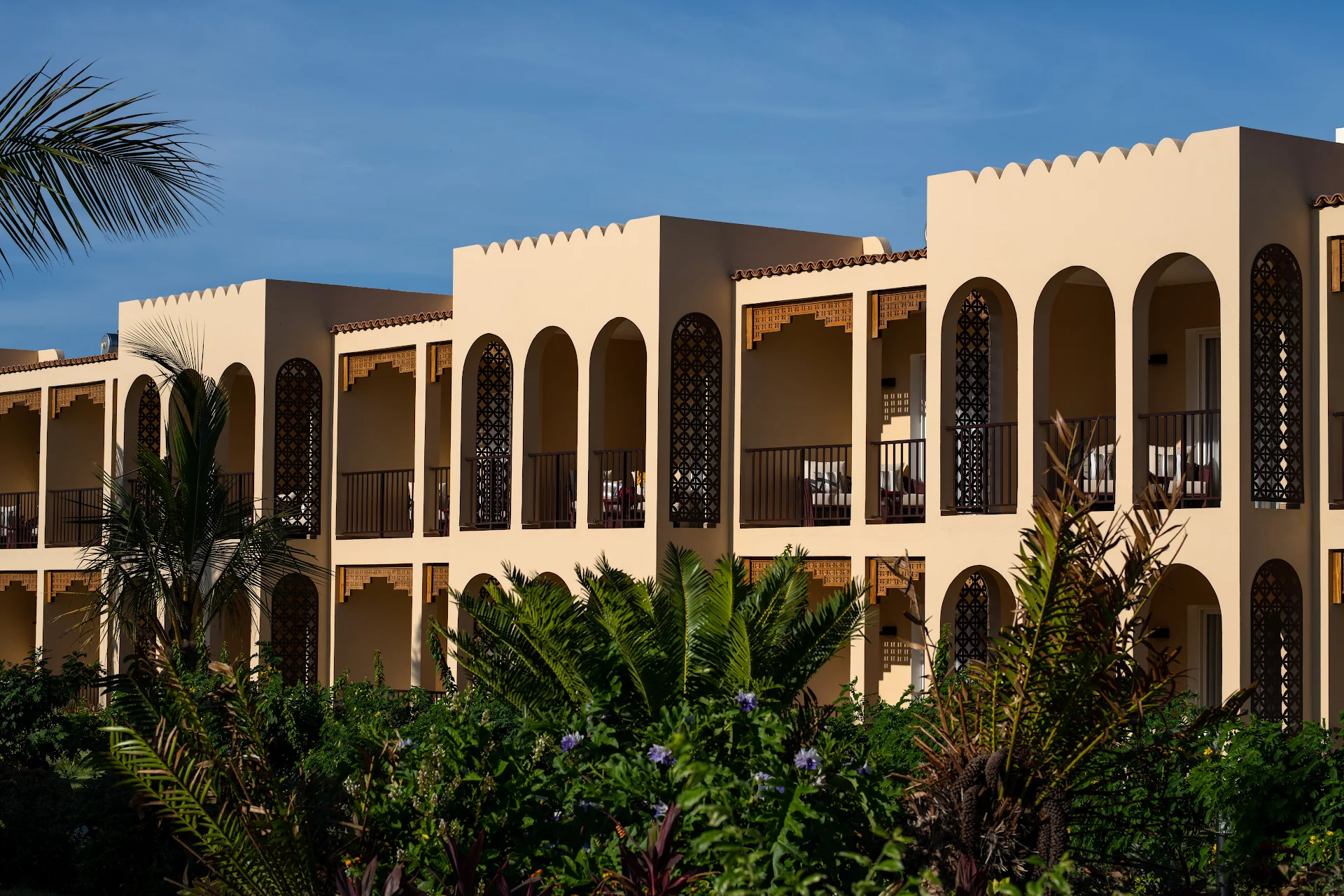 The Mora Zanzibar