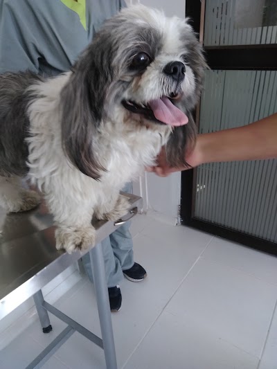 Photos of Animal Vet Centro de Salud