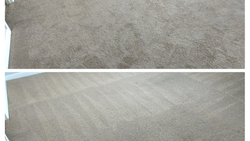 Go Green Carpet Cleaners